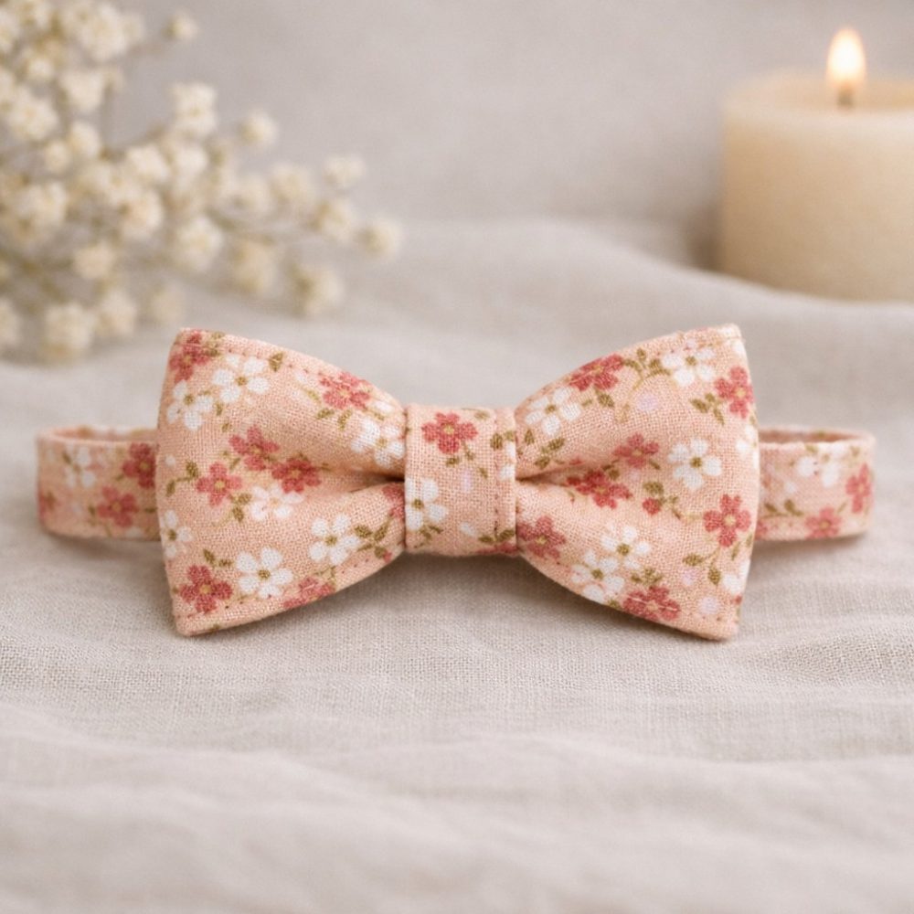 noeud papillon